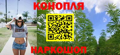 крисы Гай