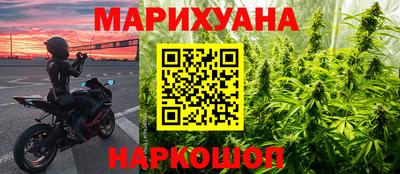 крисы Гай