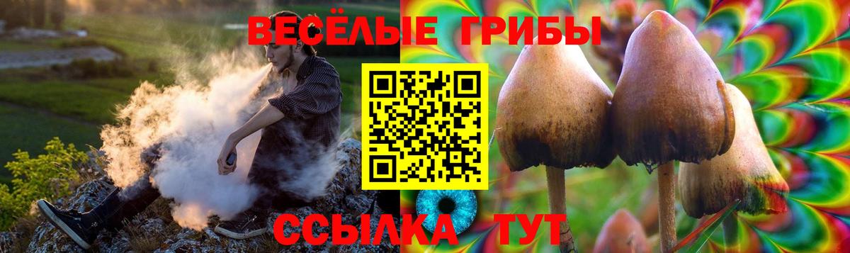 Псилоцибиновые грибы MAGIC MUSHROOMS Нефтеюганск