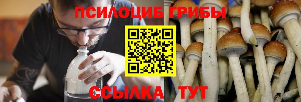Нефтеюганск  Галлюциногенные грибы MAGIC MUSHROOMS  Галлюциногенные грибы Magic Shrooms  Вход с VPN 